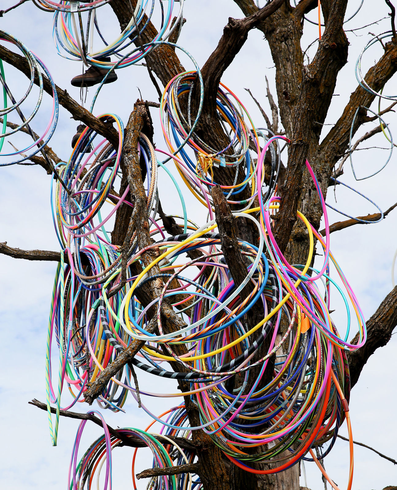 102518-Hula-Hoop-Tree-004
